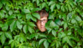 A young man among the thickets of ivy.