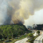 Example of an incident response plan Aerial view of fire department firetrucks extinguishing wildfire burning severely in Florida jungle woods. Emergency service firemen trying to put down flames in forest.