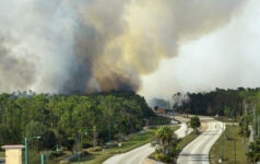 Aerial view of fire department firetrucks extinguishing wildfire burning severely in Florida jungle woods. Emergency service firemen trying to put down flames in forest.