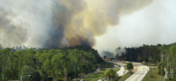 Aerial view of fire department firetrucks extinguishing wildfire burning severely in Florida jungle woods. Emergency service firemen trying to put down flames in forest.