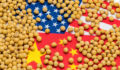 US and China flags covered with soybeans