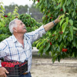 CCO fined $150k over his disproportionate trading allocations as a rep Farmer picking cherries
