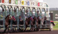 Horses breaking from the starting gate.